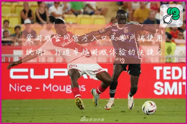 爱游戏官网官方入口及客户端使用说明：打造卓越游戏体验的快捷方式